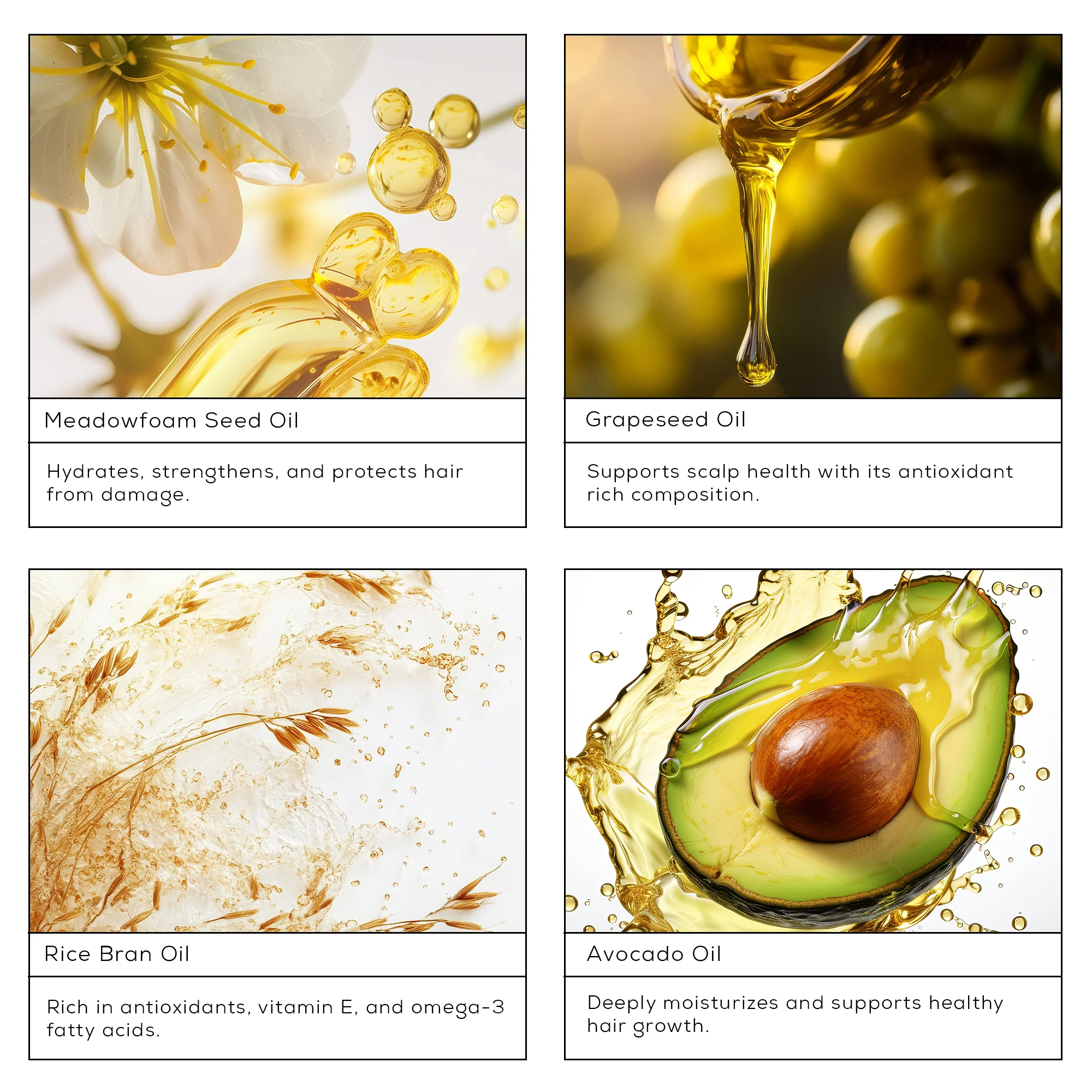 Fahrenheit 450+ - Image 3