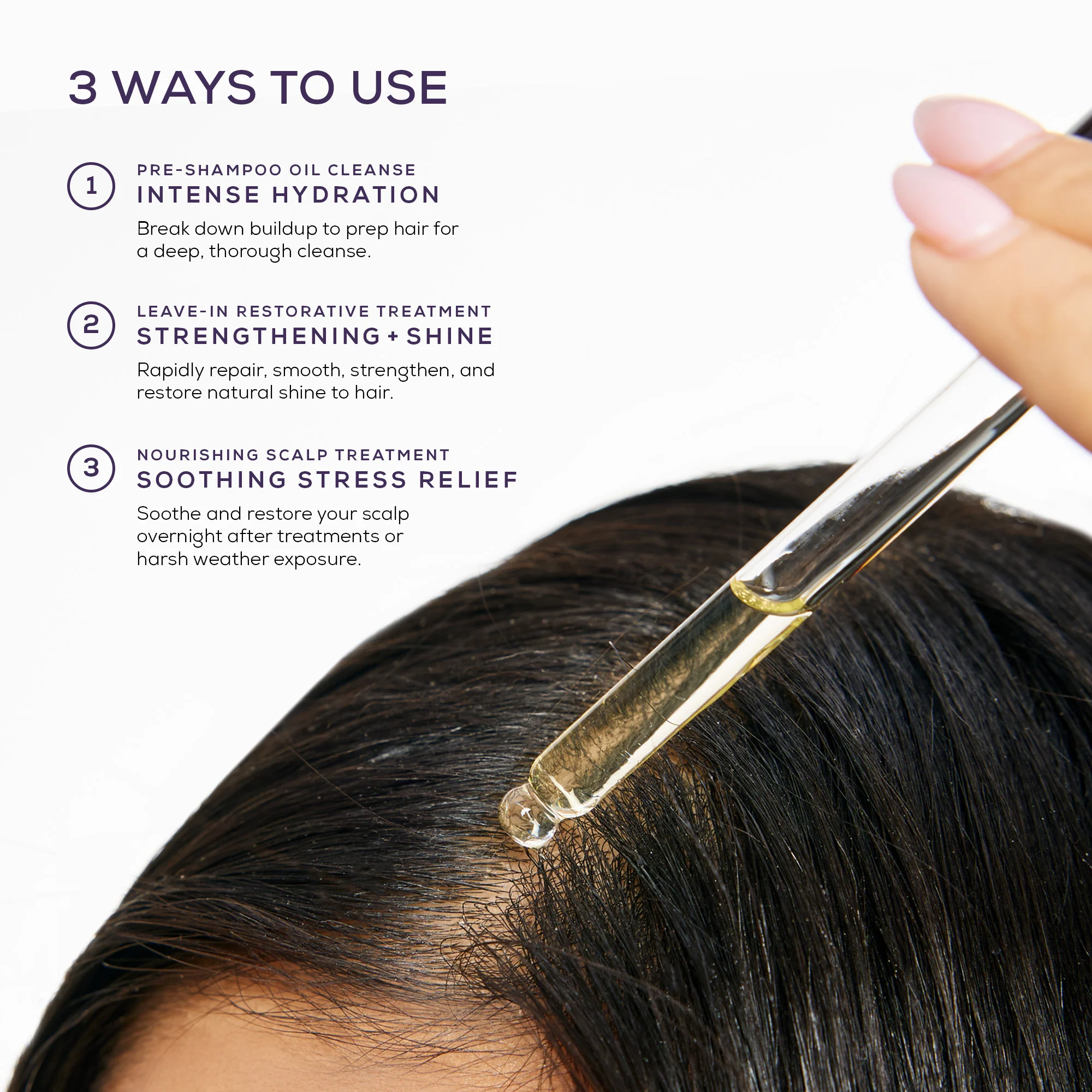 Fahrenheit 450+ - Image 5